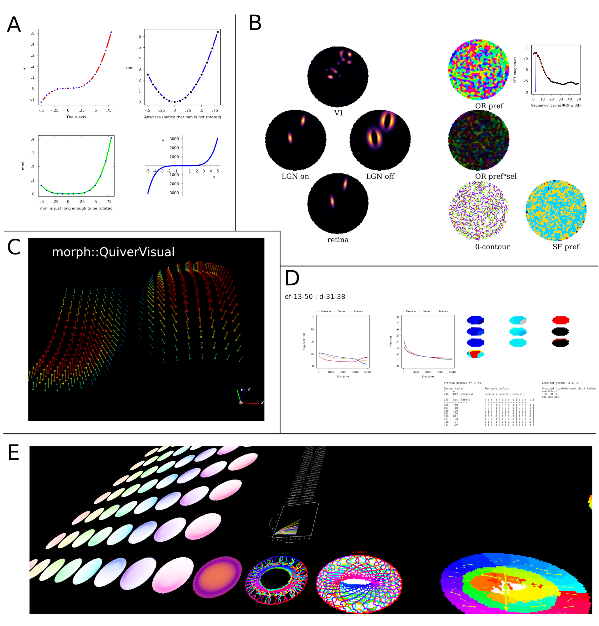 A selection of visualisations made with morphologica. A: 2D graphs. B A: self-organising map simulation (orientation preference maps). C: Three dimensional quiver plot. D: gene driven reaction diffusion model. E: Debugging a large model.