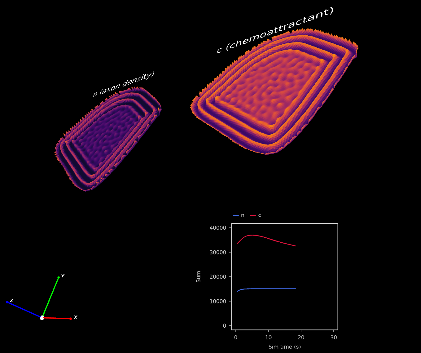 A plot of a reaction-diffusion simulation containing 2 state variables, n and c. This example contains a GraphVisual graph alongside the 3D surfaces, showing how some objects in the scene can be rotated while the 2D graph remains flat. (See https://github.com/ABRG-Models/morphologica/blob/main/examples/Ermentrout2009/erm.cpp)