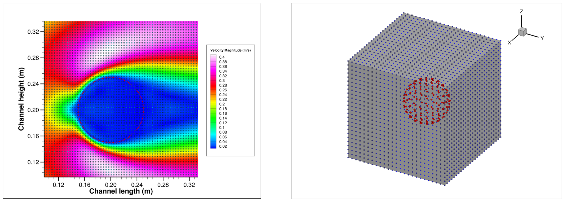 2D laminar flow over a quasi-rigid cylinder (left) and 3D setup for quasi-rigid sphere (right) – the IB markers are coloured red